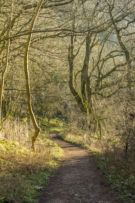 Wolfscote Dale Wolfscote Dale